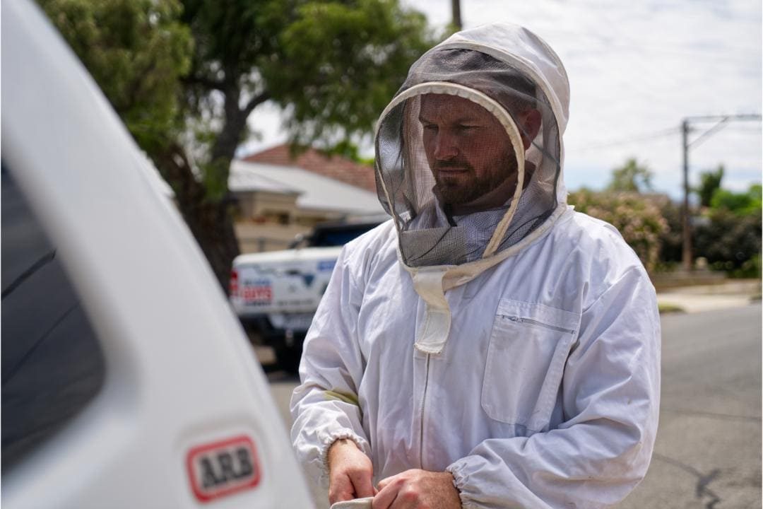 Bee Suit 5 (Close Up)