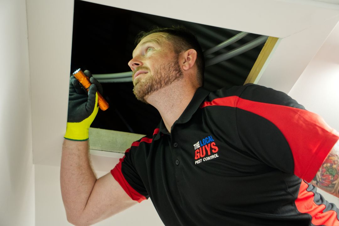 How To Prepare For A Pest Control Service 3