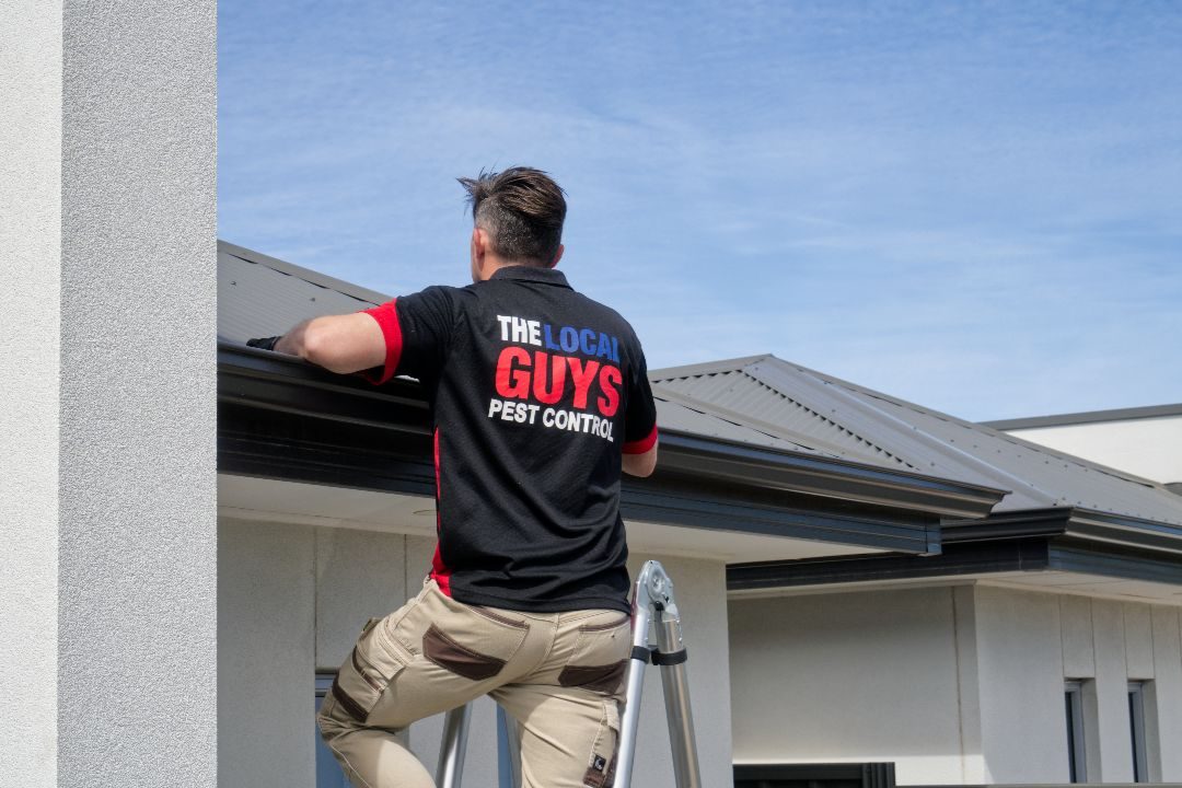 The Local Guys Pest Control Franchise 2