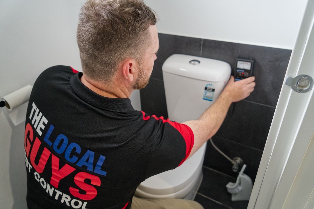 The Local Guys Pest Control Franchise 3