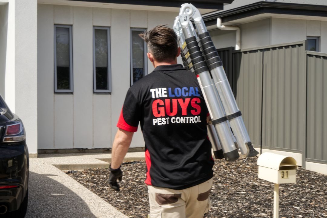 The Local Guys Pest Control Franchise