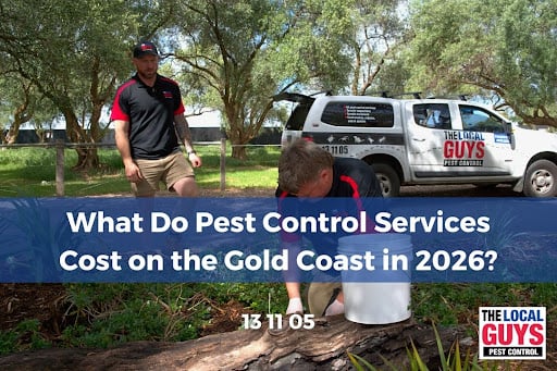 What Do Pest Control Services Cost on the Gold Coast in 2026?