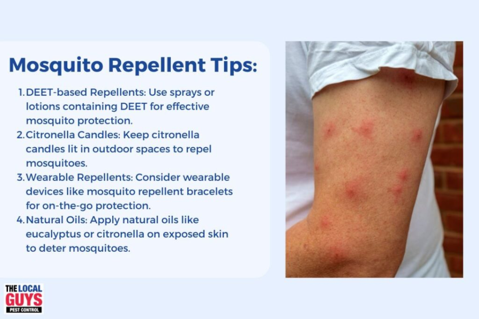 The Ultimate Guide to Mosquitoes: Everything You Need to Know